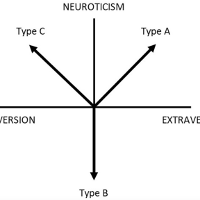 type b personality essay