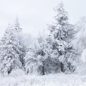 Winter Scene at Shipka Pass, Bulgaria, Jan. 8, 2006