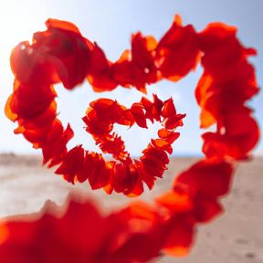 Healing a Broken Heart