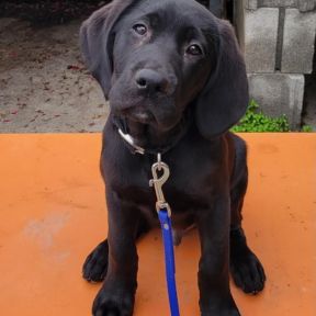 Oswald as a baby
