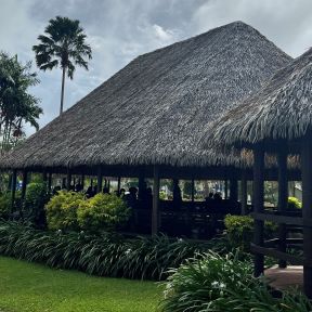 Stories from grassroots can spark new ideas