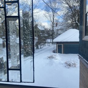 A pristine backyard waiting for kids to play in it.