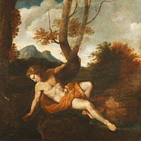 "Narcissus," attributed to Frans de Neve