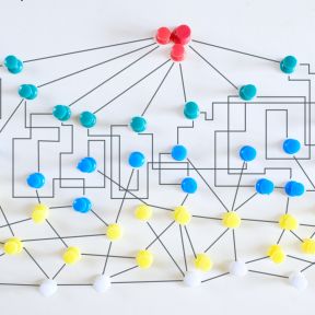 Messy organizational chart may resemble complex brain structure? 