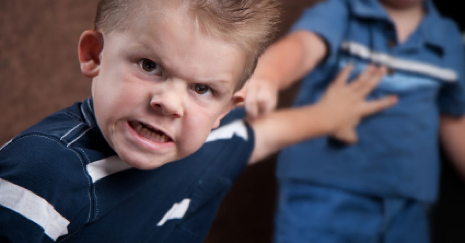 10 Steps to Stop Your Child From Hitting Other Kids Psychology Today