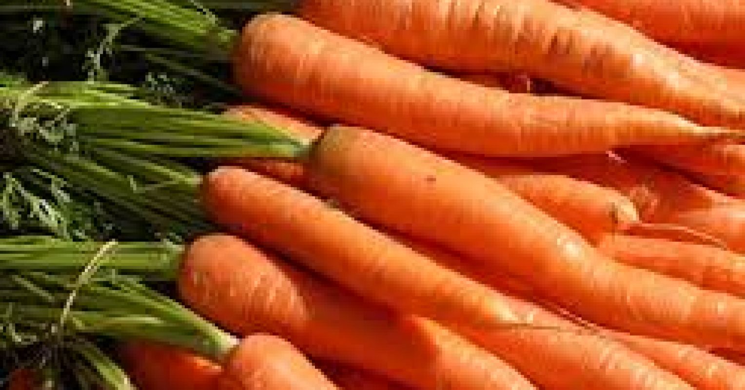 Grasp a Carrot Psychology Today