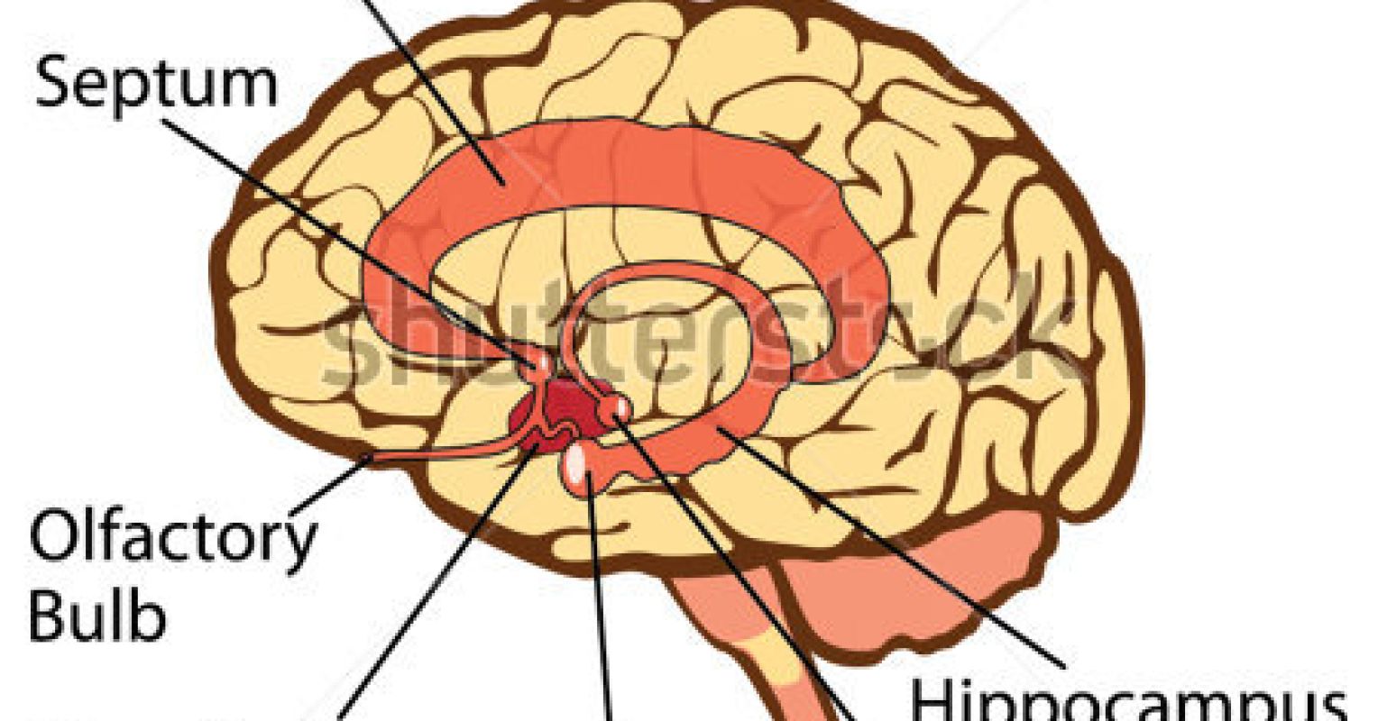 A Unified Field Theory of Consciousness Psychology Today
