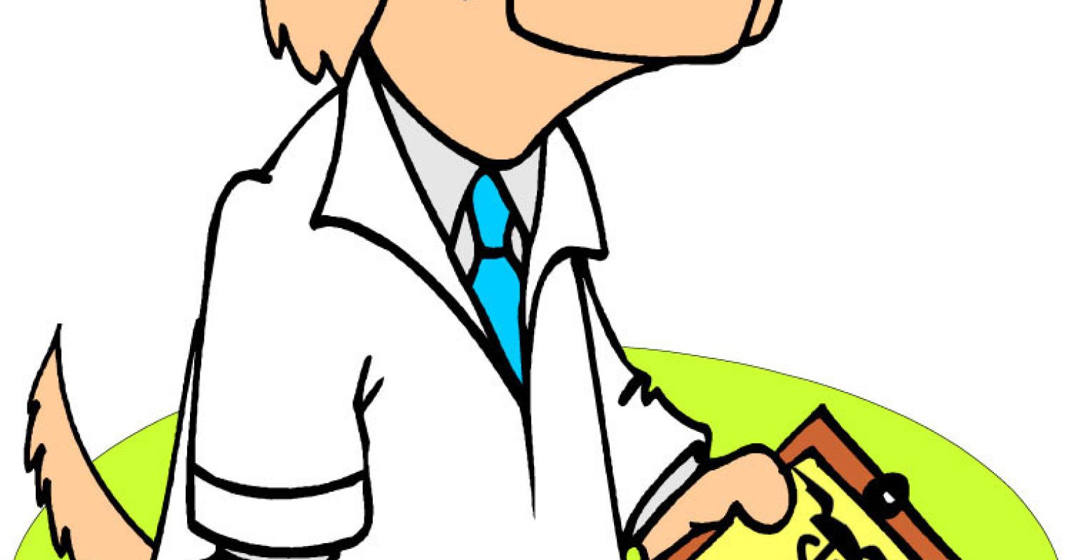 Can My Dog Make Me Healthier? Psychology Today