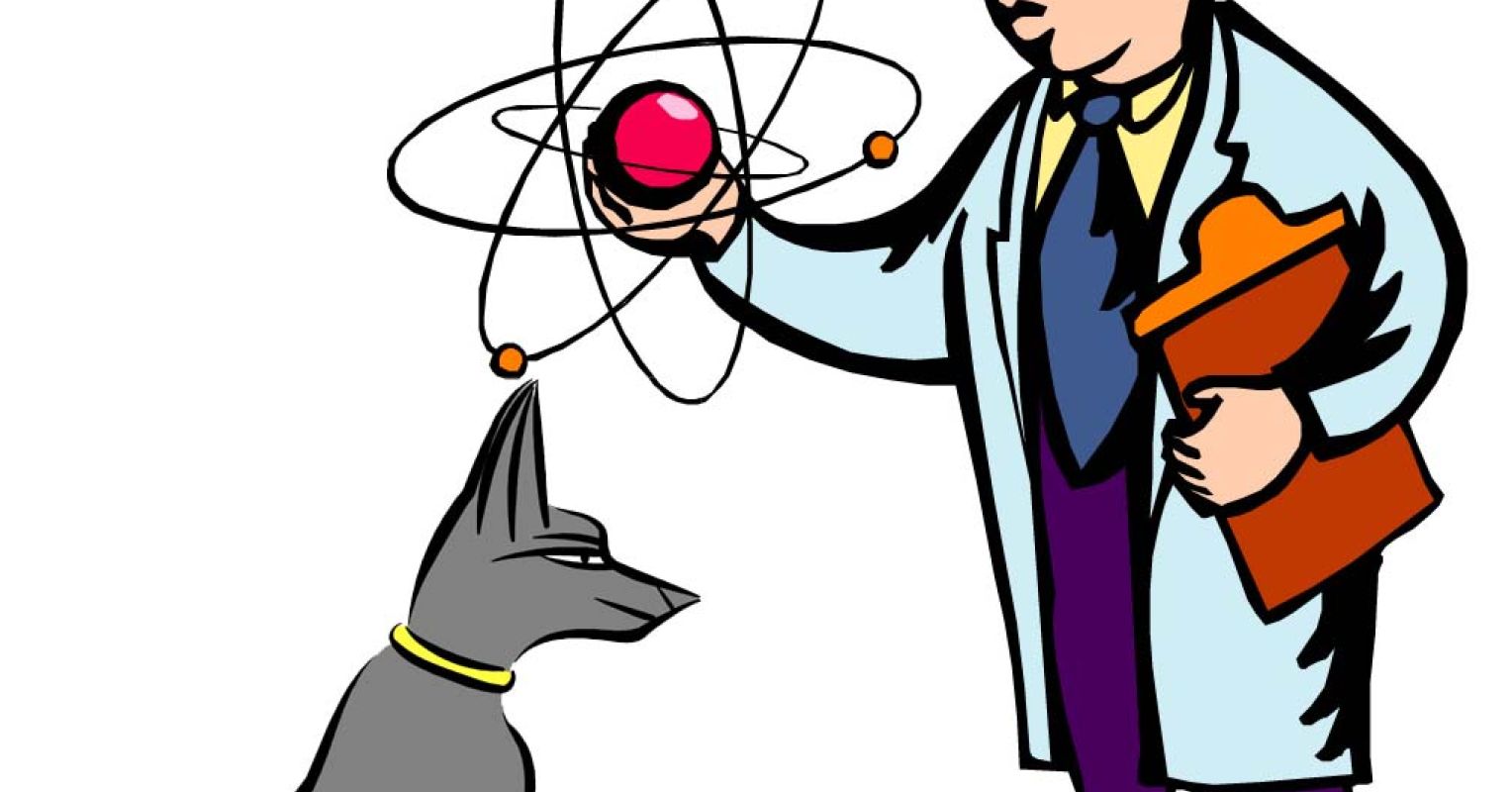 The Chemistry of Dogs and People Psychology Today