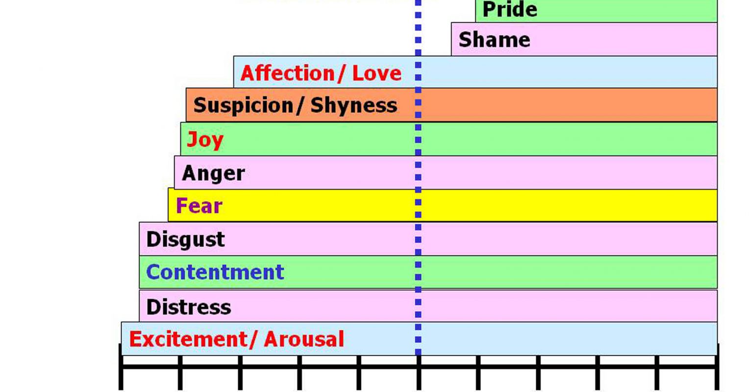 III. How Dogs Perceive Human Emotions