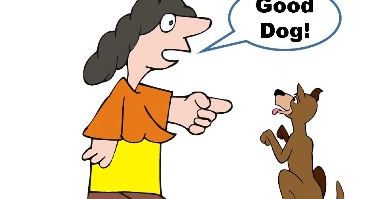 is obedience training good for a dog