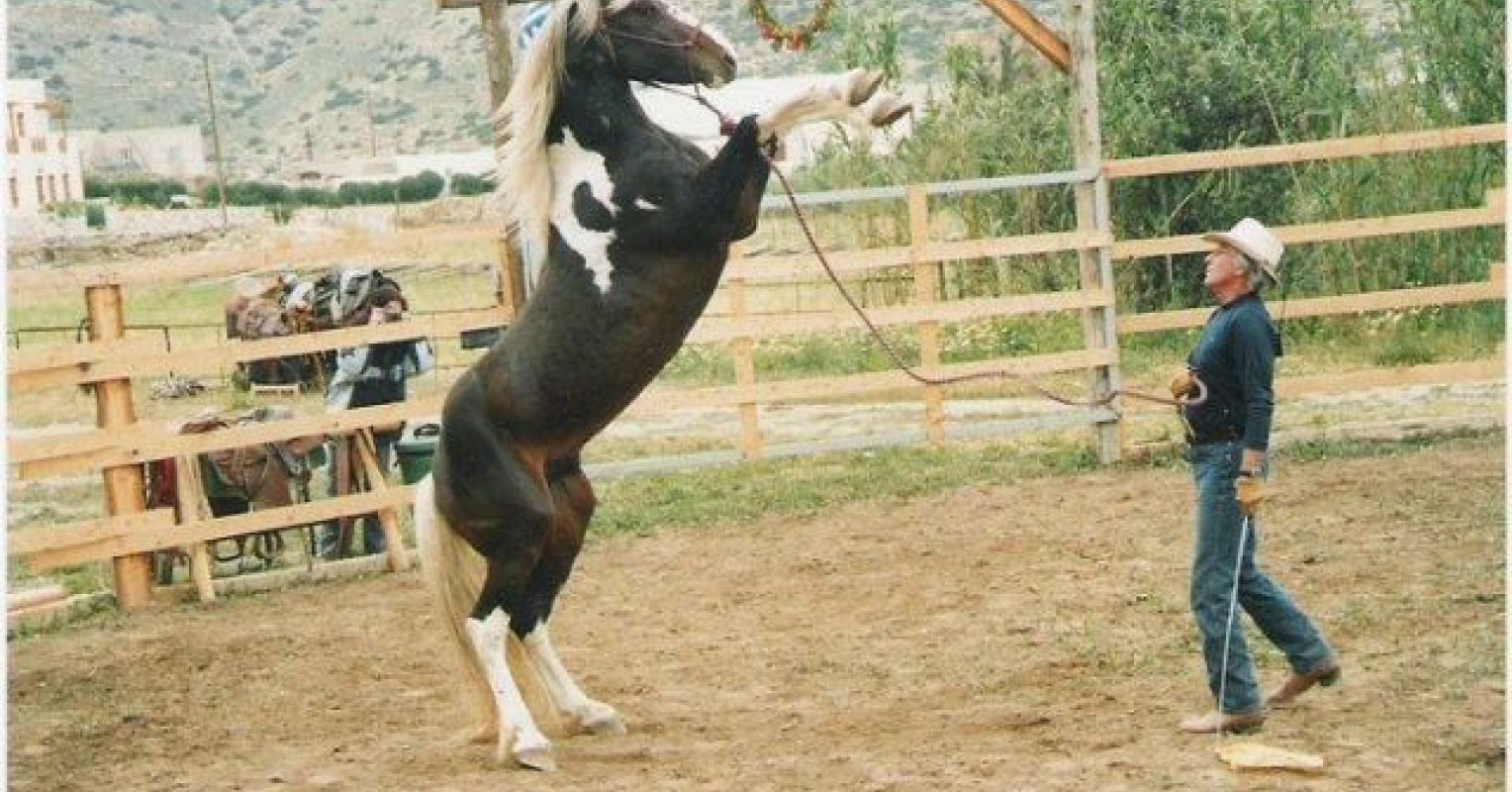 Horse Whispering for Life Enrichment Psychology Today Australia