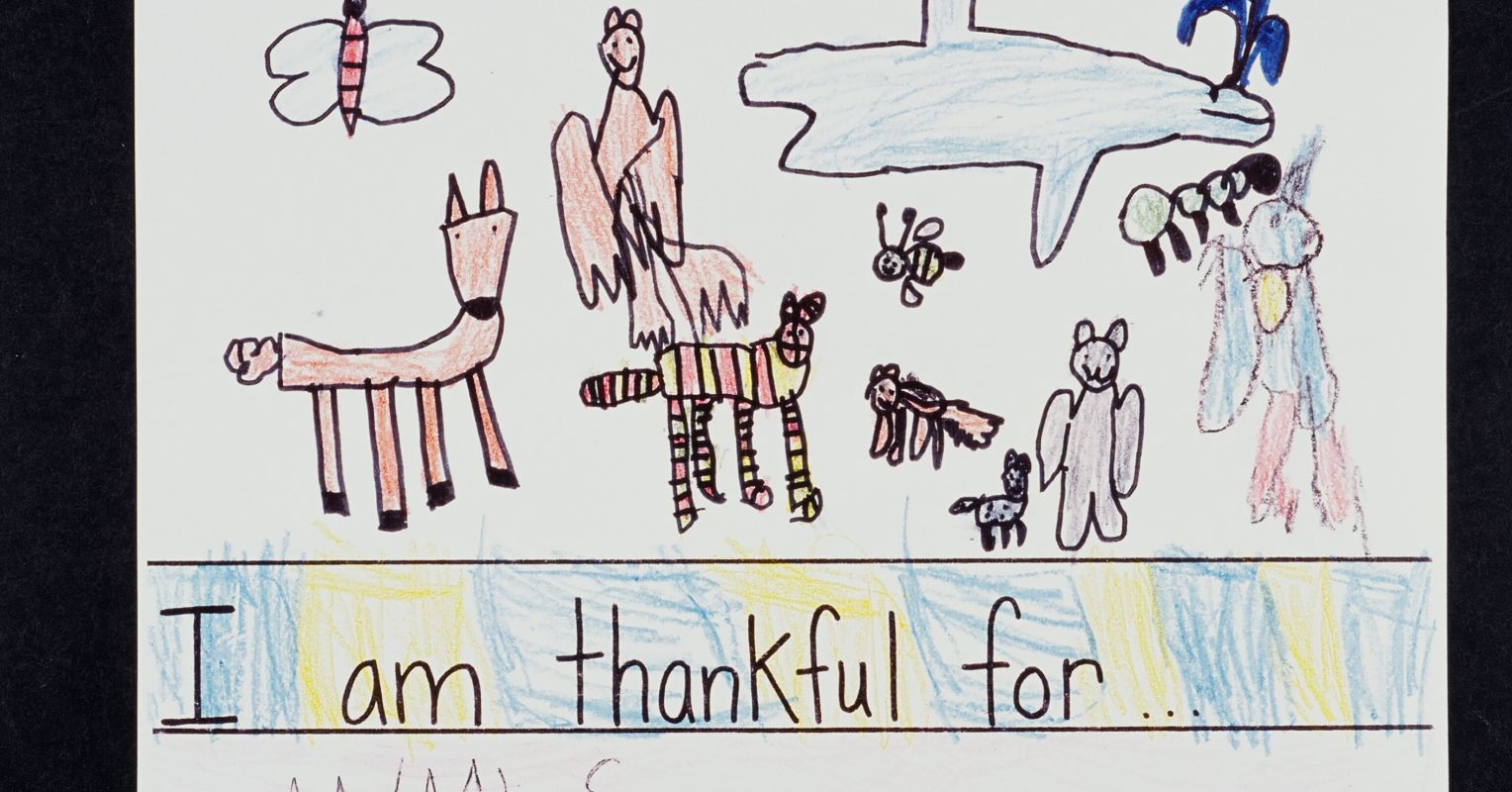 Animals, kids, and slaughterhouse effects on crime Some recent