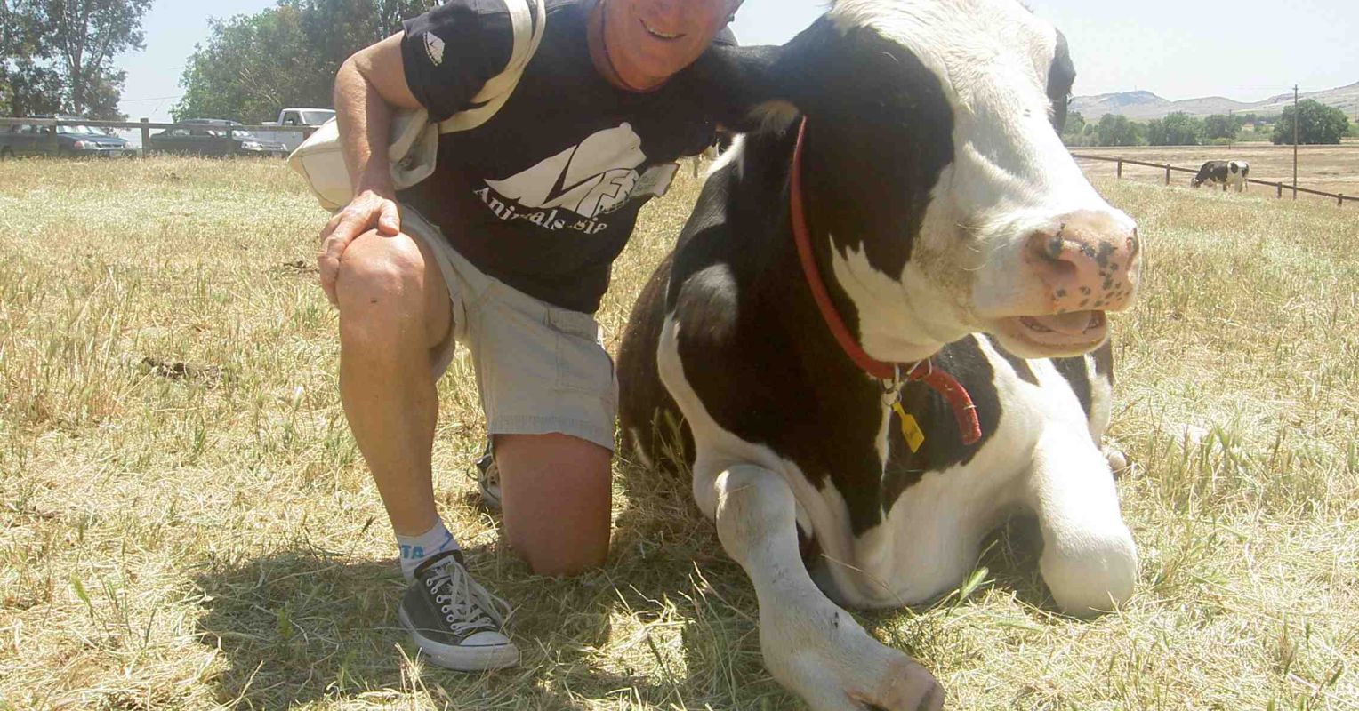 Going "Cold Tofu" to End Factory Farming