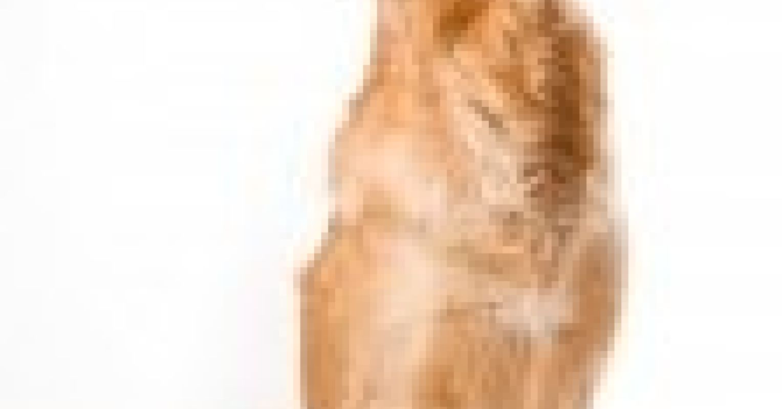 PTSD in War Dogs Finally Getting the Attention It Deserves Psychology