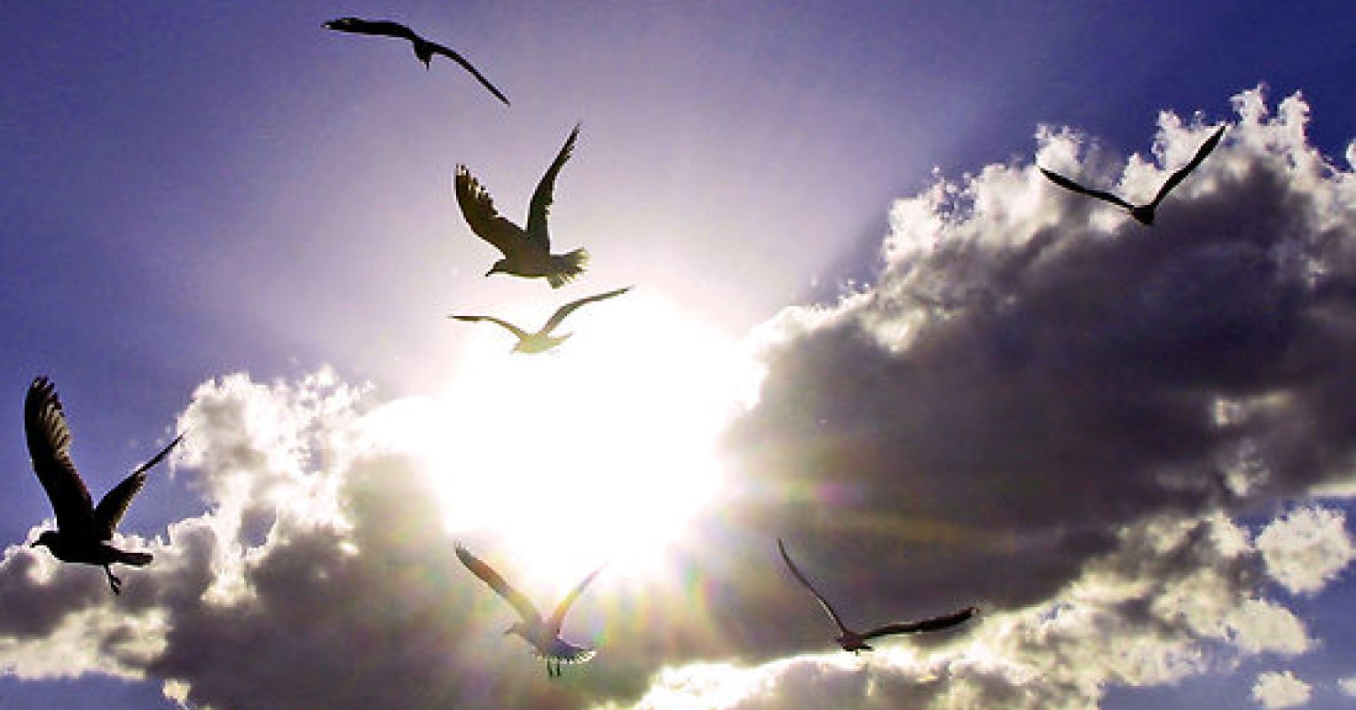 &lsquo;Near&rsquo; Death Experience | Psychology Today