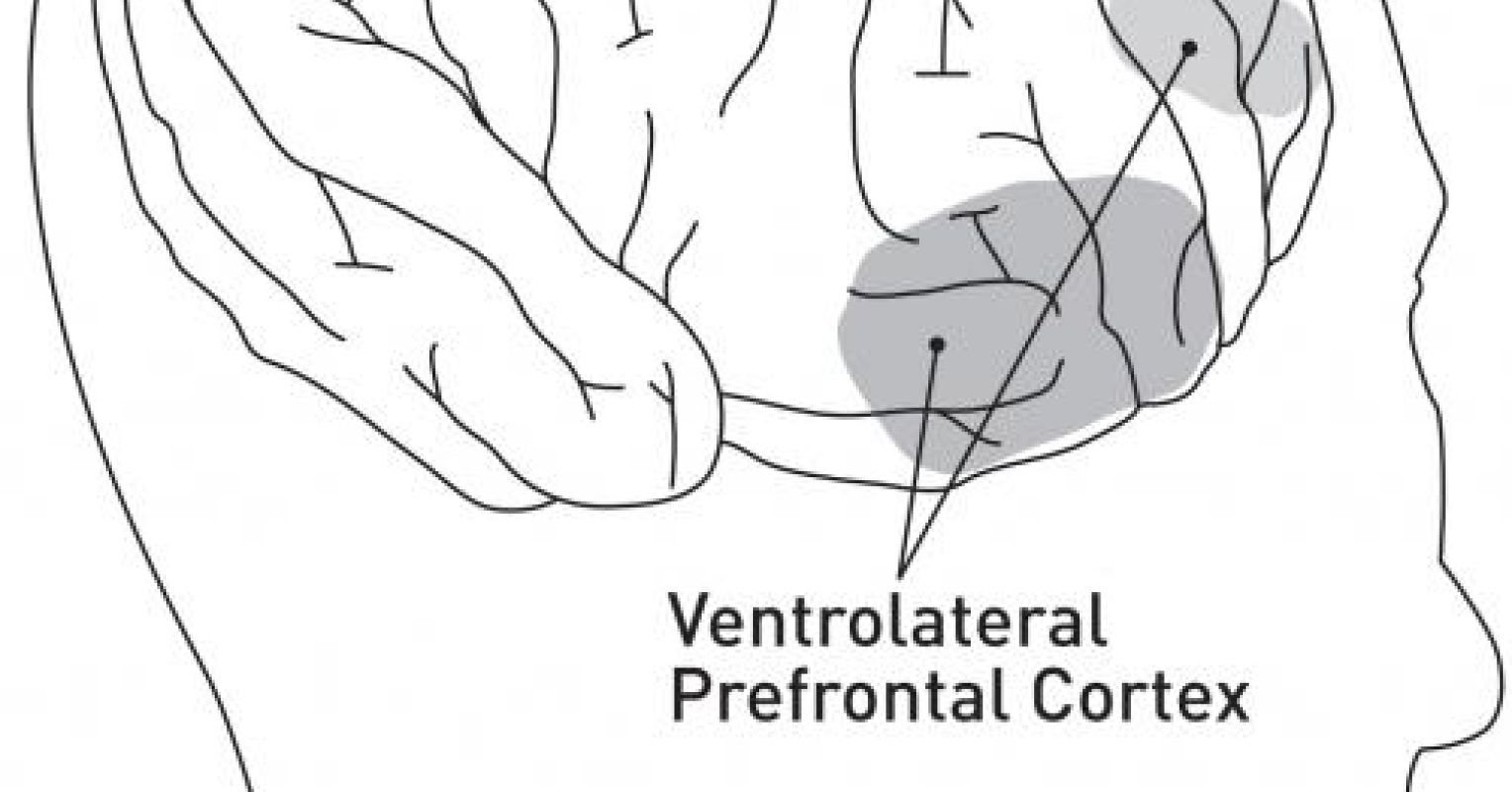 Introducing Your Brain at Work blog on Psychology Today Psychology