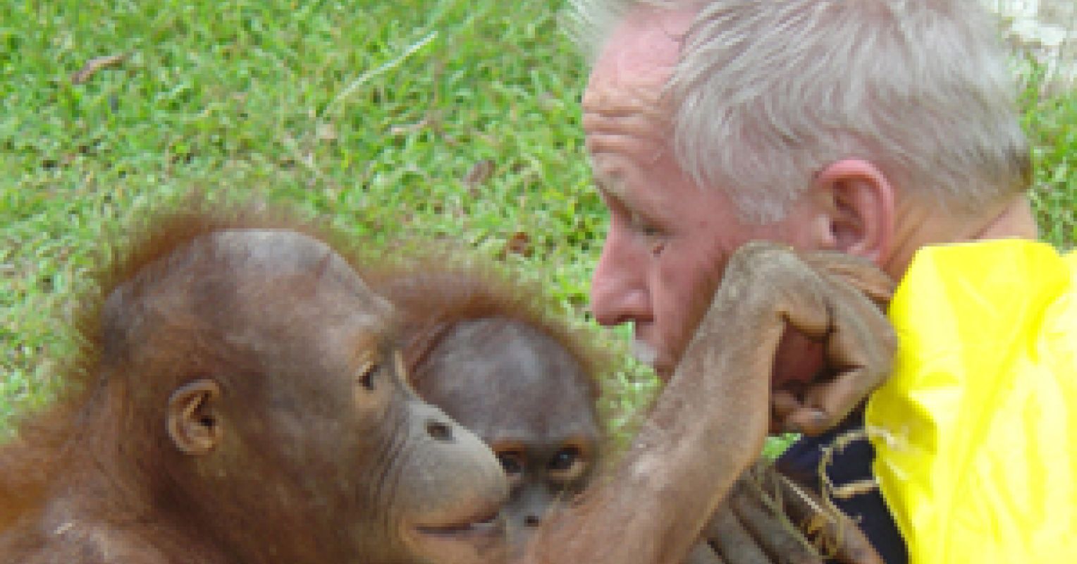 orangutans mel gibson and the bite