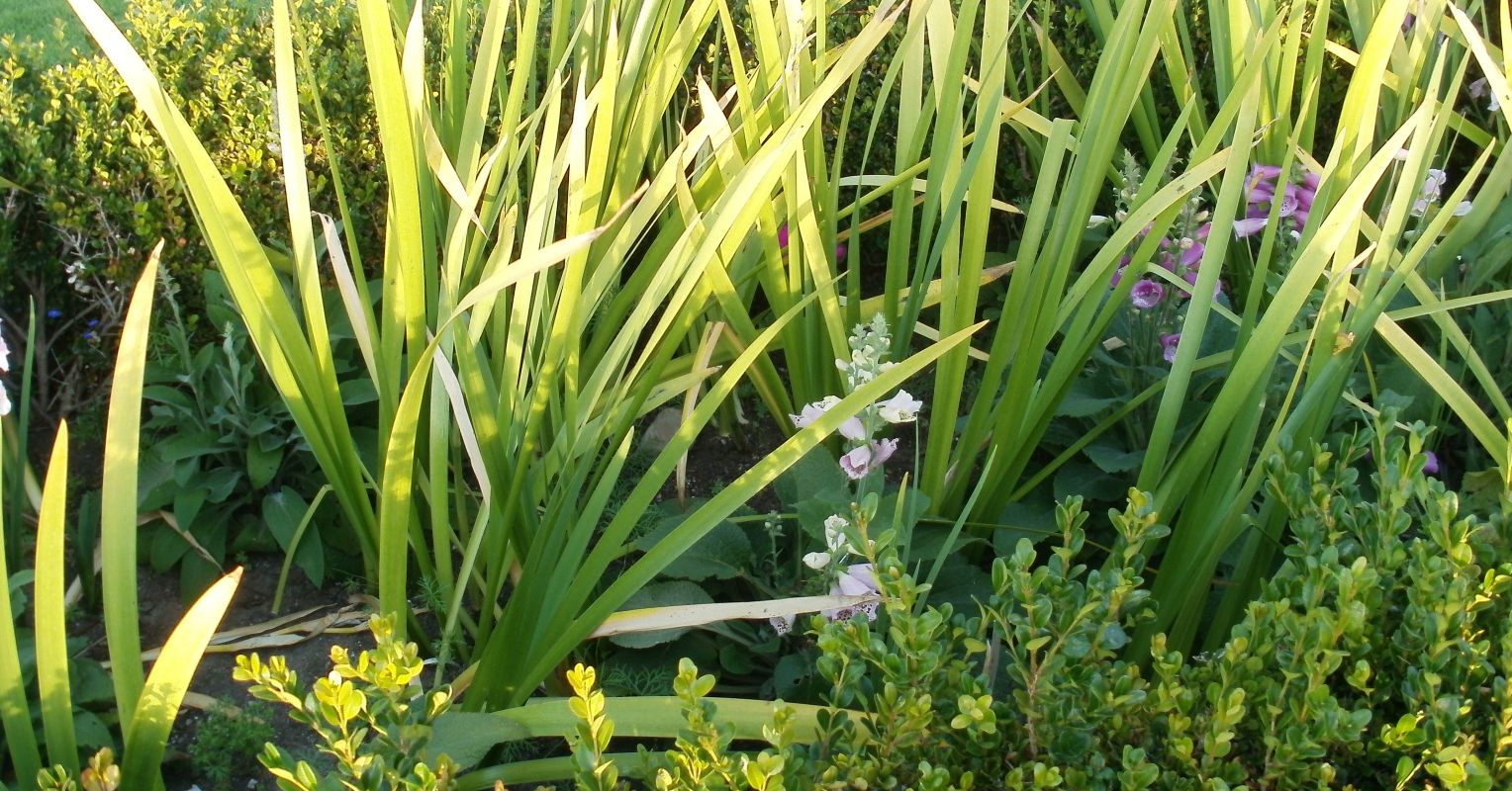 The Diabolical and the Dialogical | Psychology Today, image size:1528x800