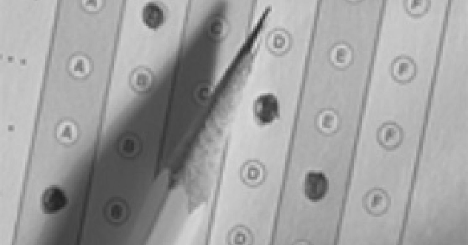 Psychology Today Blog Entries as Educational Psychology Today