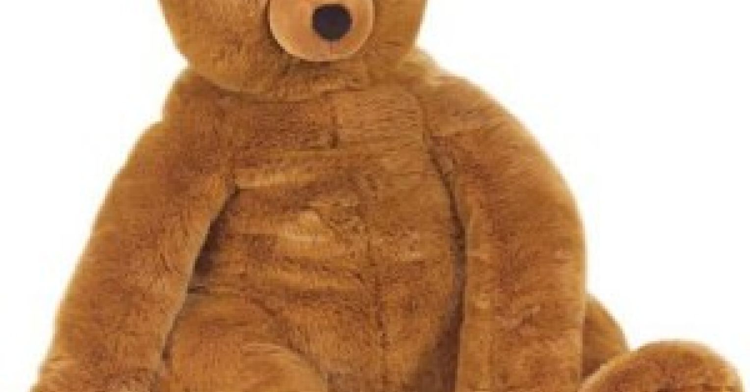 Did You Bring a Stuffed Animal to College? Psychology Today