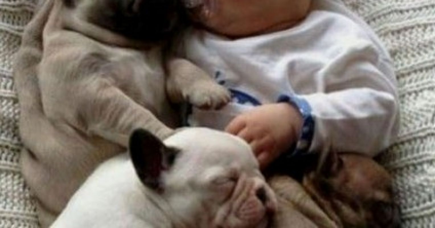 Do Dogs And Babies Have A Connection - Do Dogs Have A Special Connection To Grass
