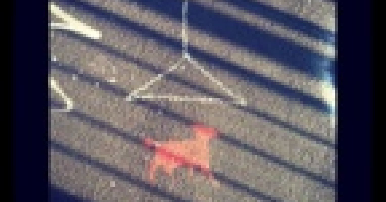 Break up Rituals for Romantics | Psychology Today