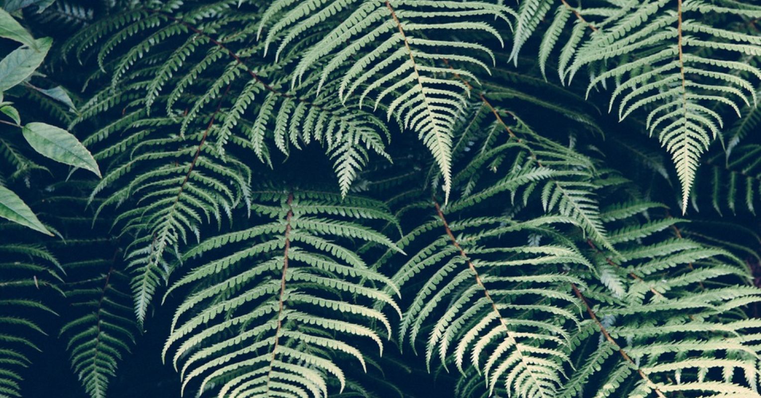 Rumination Frequently Asked Questions Psychology Today