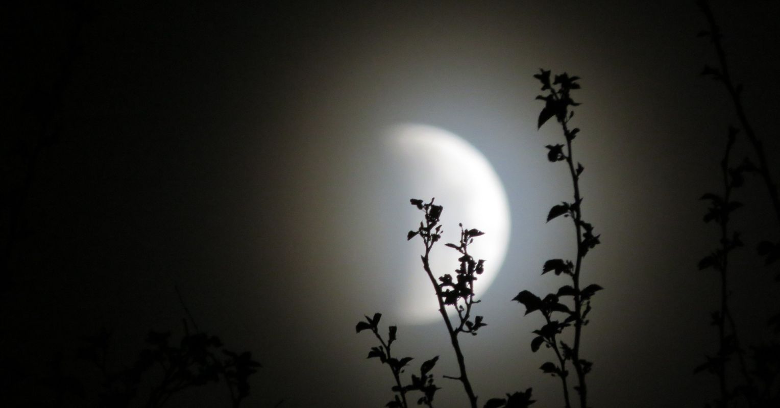 The Lunar Eclipse and Your Shadow | Psychology Today United Kingdom