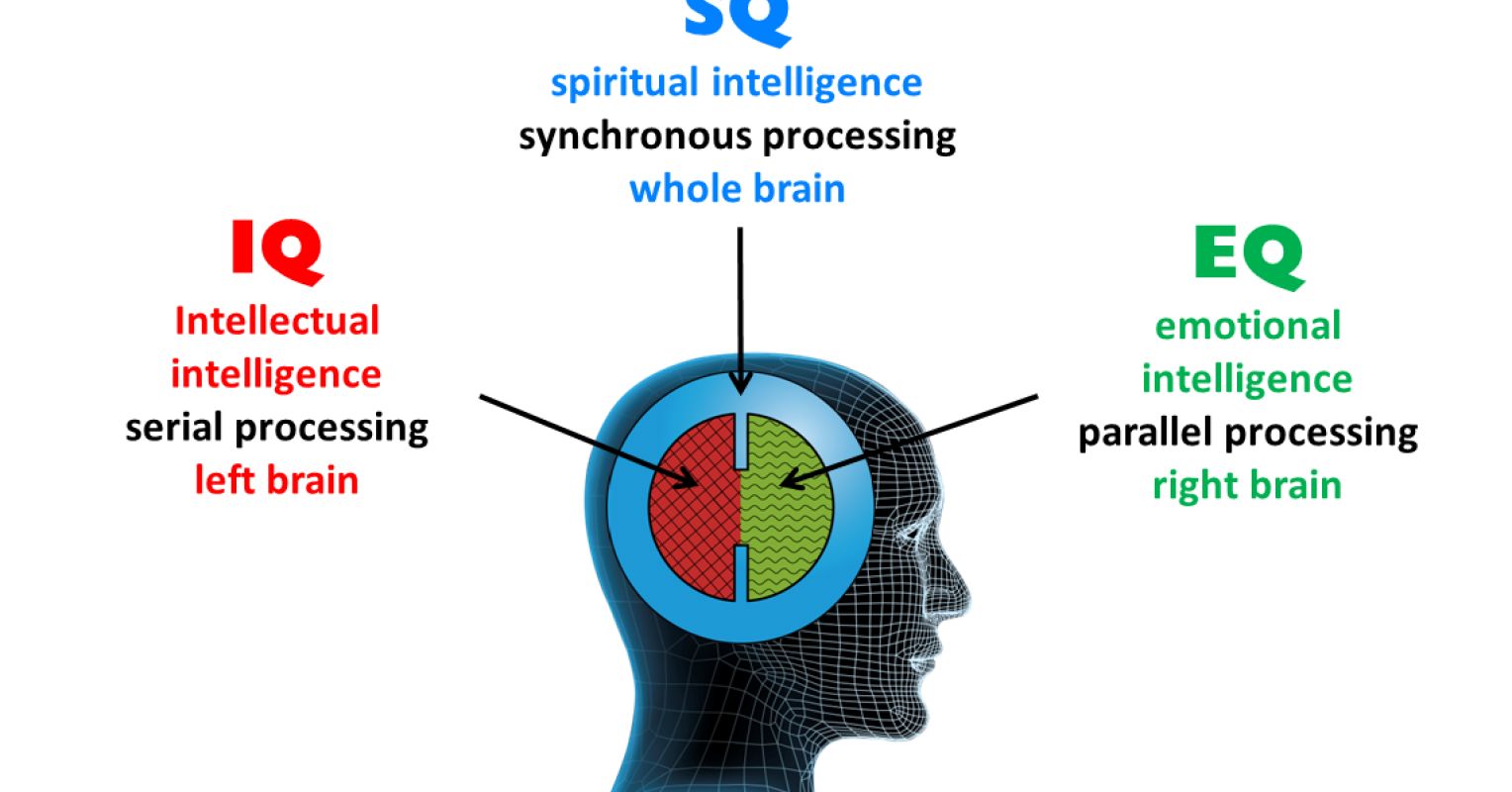 multiple intelligences brain diagram