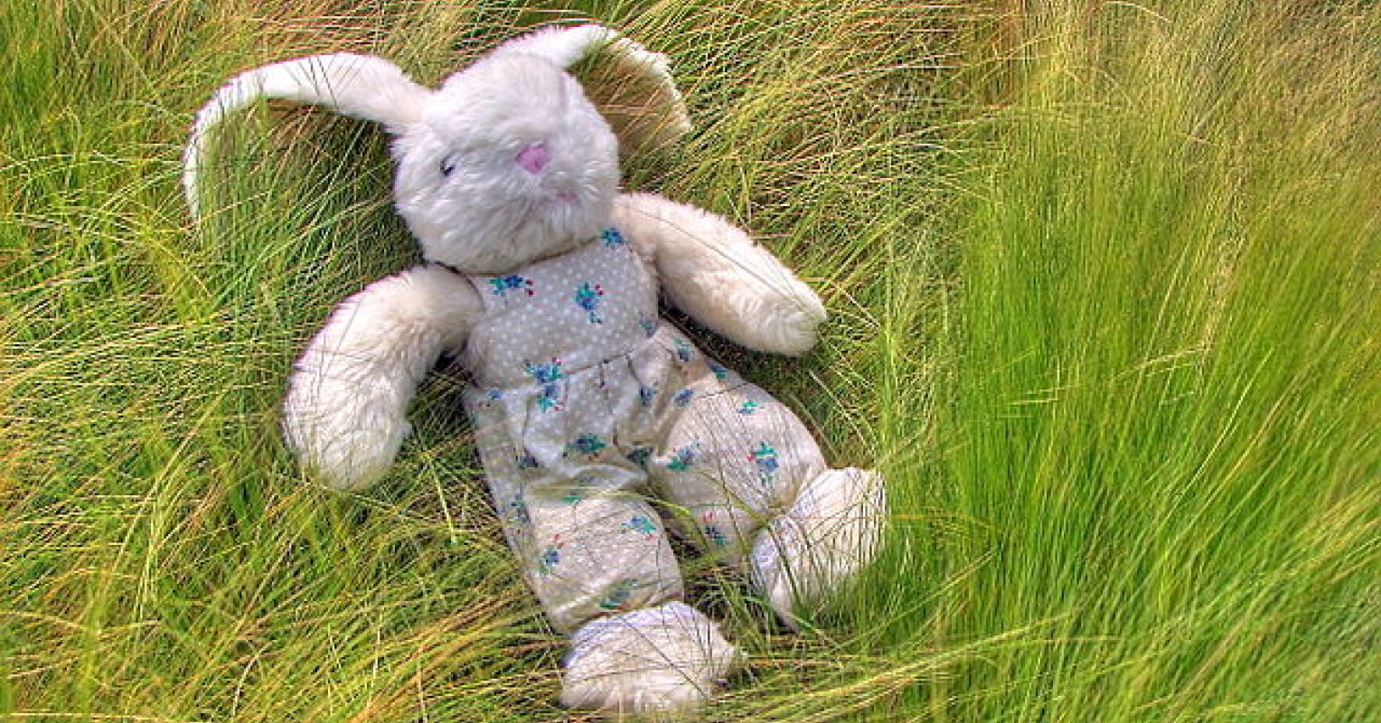 Toys Are Us? Gender Behavior, Subject to Manipulation? | Psychology Today