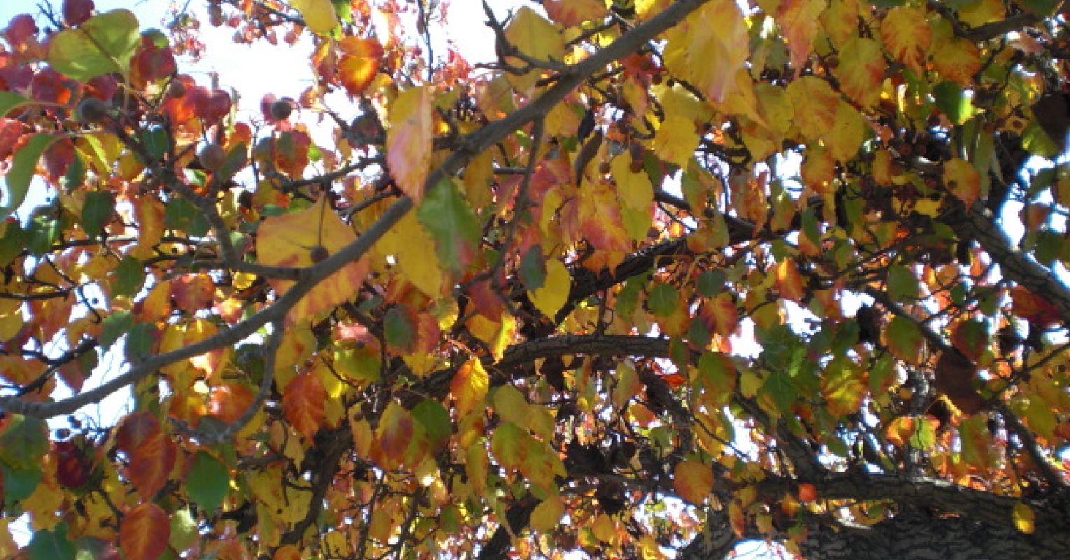 Seasons Memories of Poignant Changes Psychology Today