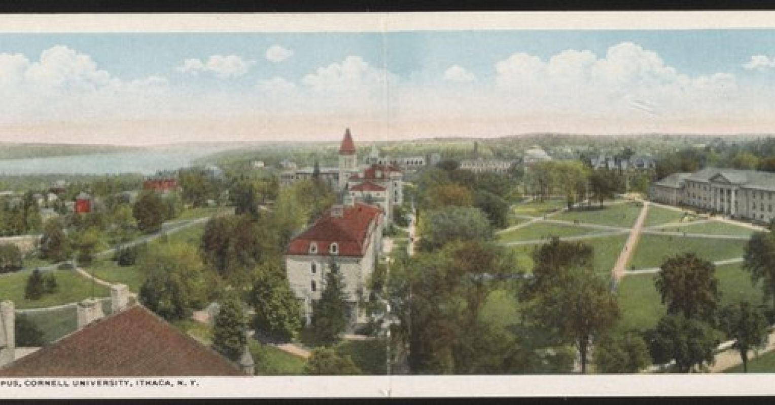 Grief, Anxiety, Loneliness—and Growth Psychology Today