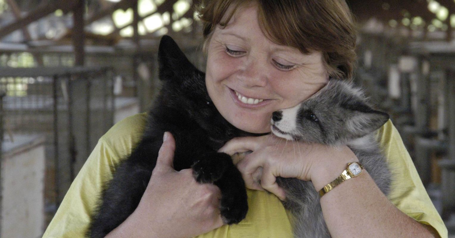 Watch: Pittsburgh Dogs Lick Up the Laughter