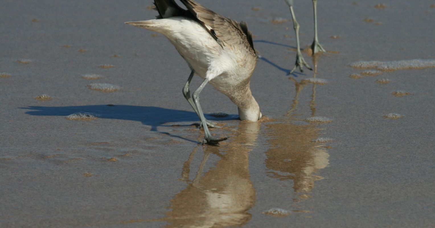 The Role of Denial in Addiction Psychology Today