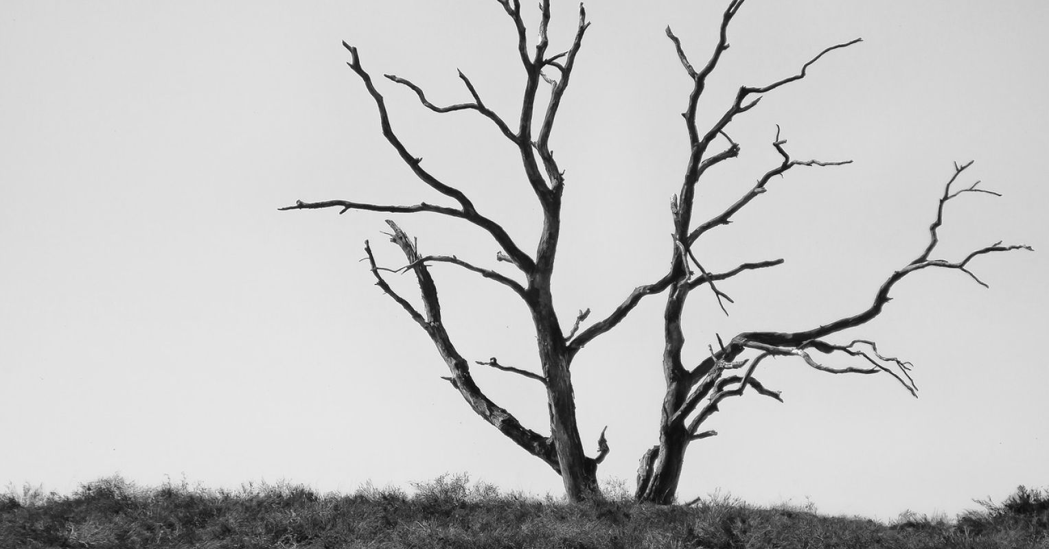 What Dying Teaches Us About Living | Psychology Today