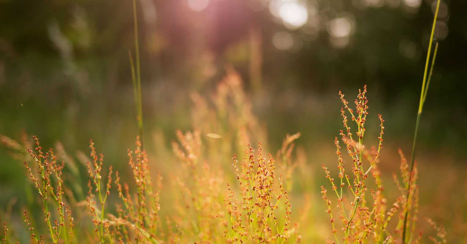 Sleepless, but Dreaming of Suicide Psychology Today New Zealand