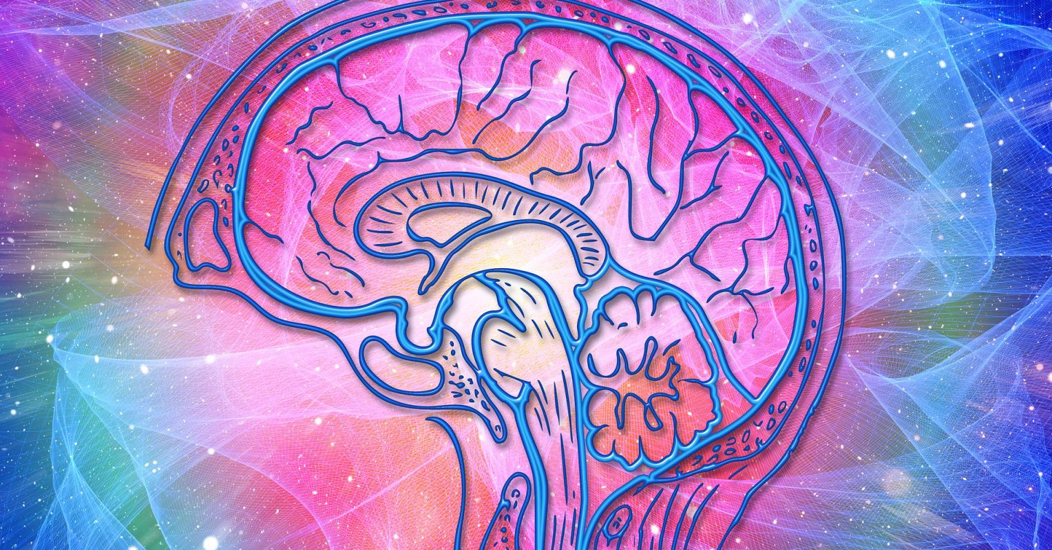brain art wallpaper