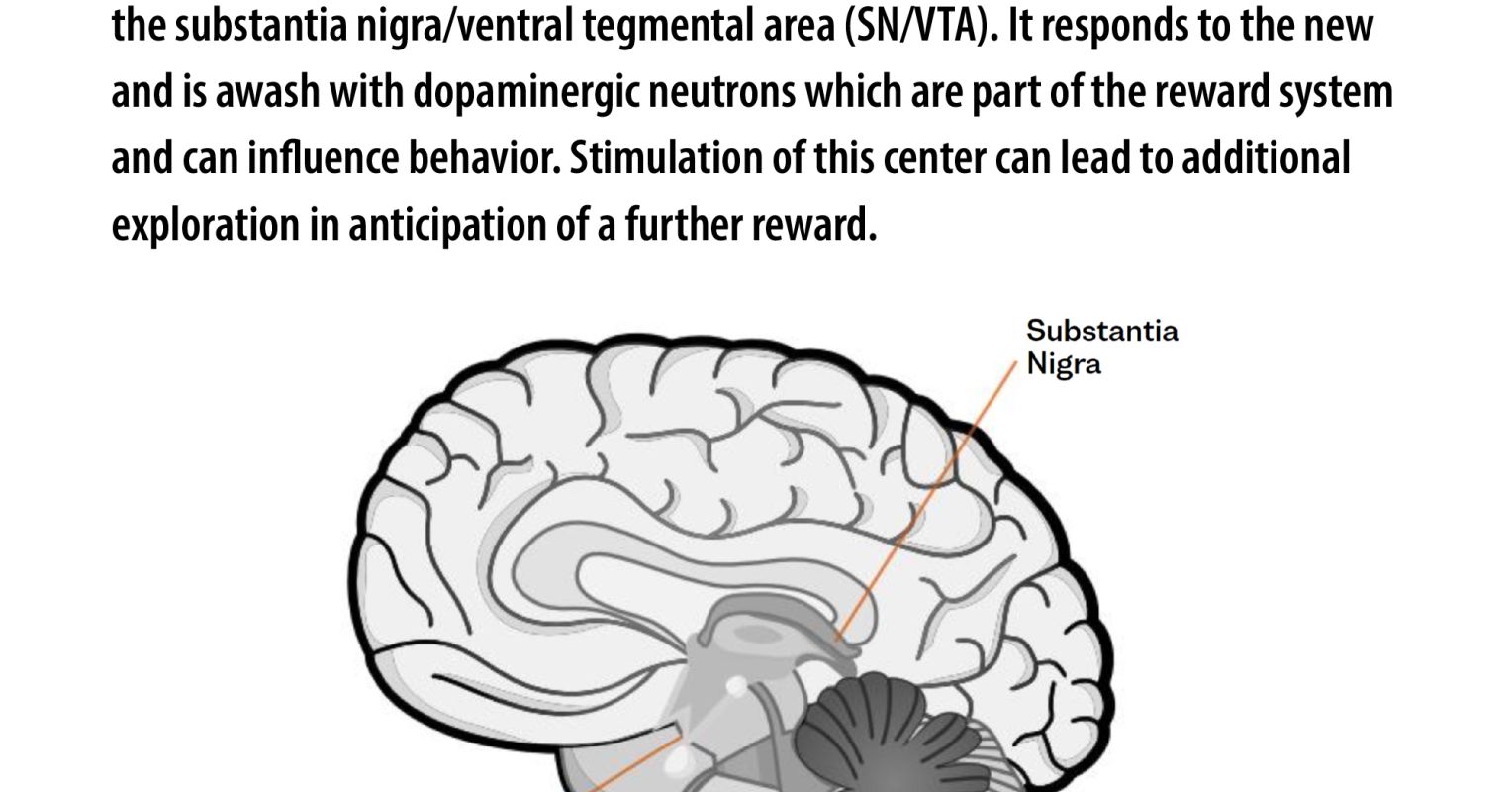 www.psychologytoday.com