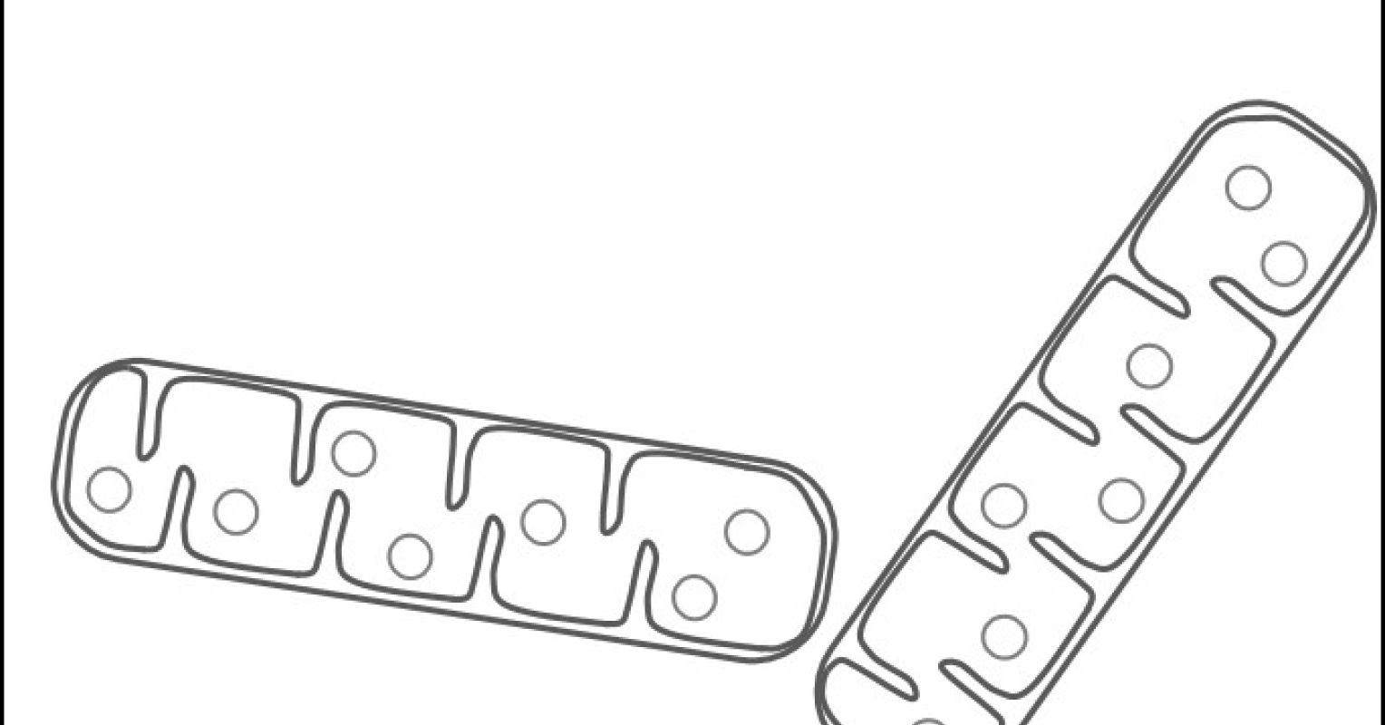 Babies With 3 Biological Parents Psychology Today