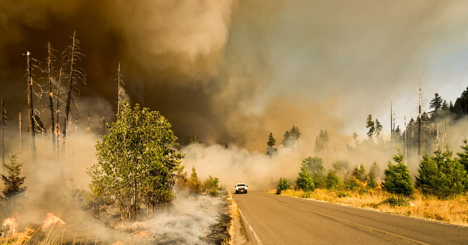 The Effects of Wildfires on Mental Health | Psychology Today Canada