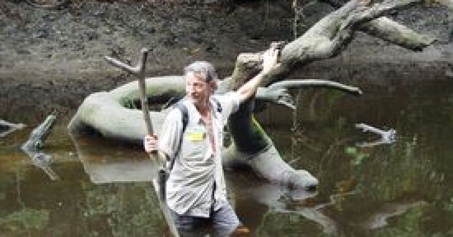 The Legacy of Two Great Primatologists | Psychology Today