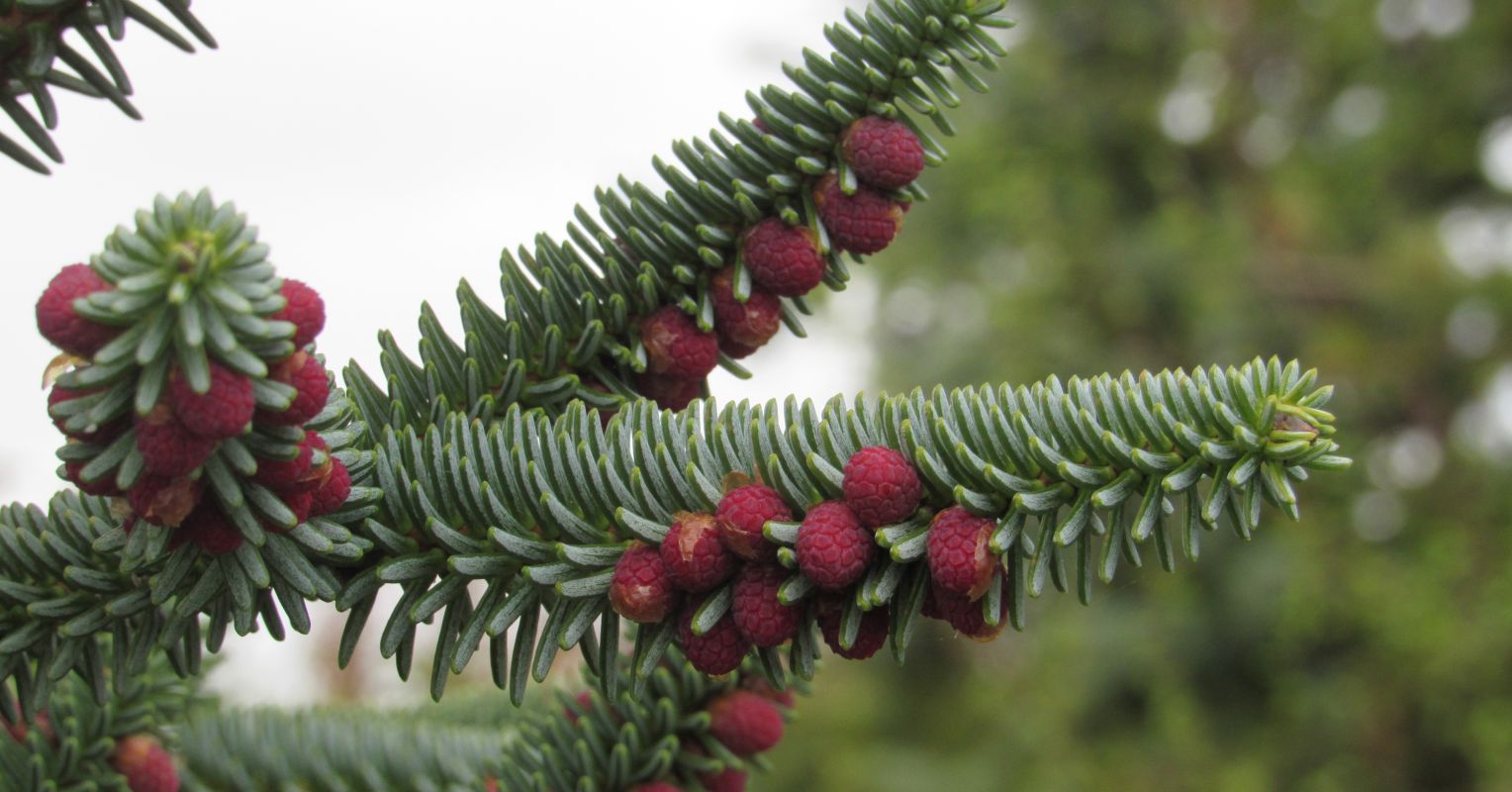 Future Models of AIEnhanced Dream Interpretation Psychology Today