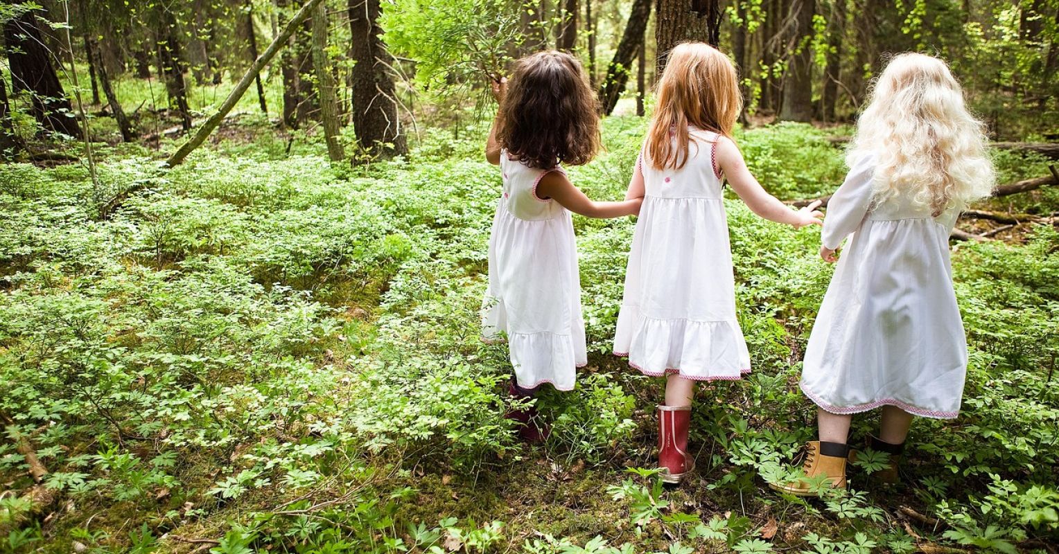 Why Can't We Talk to Each Other Anymore?