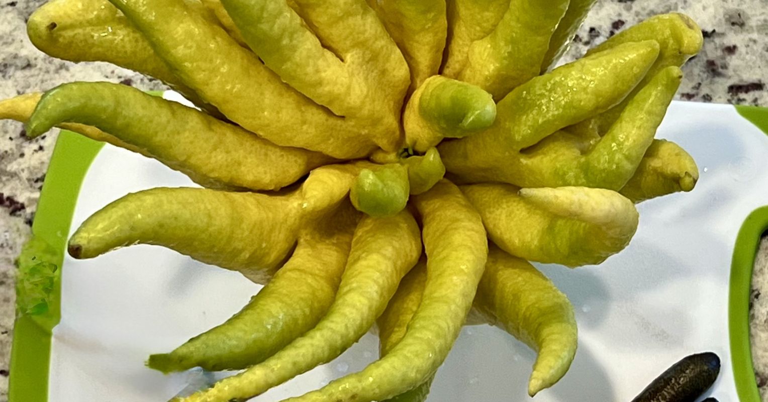Buddaha%27s%20Hand%20and%20Finger%20Limes 0.jpeg