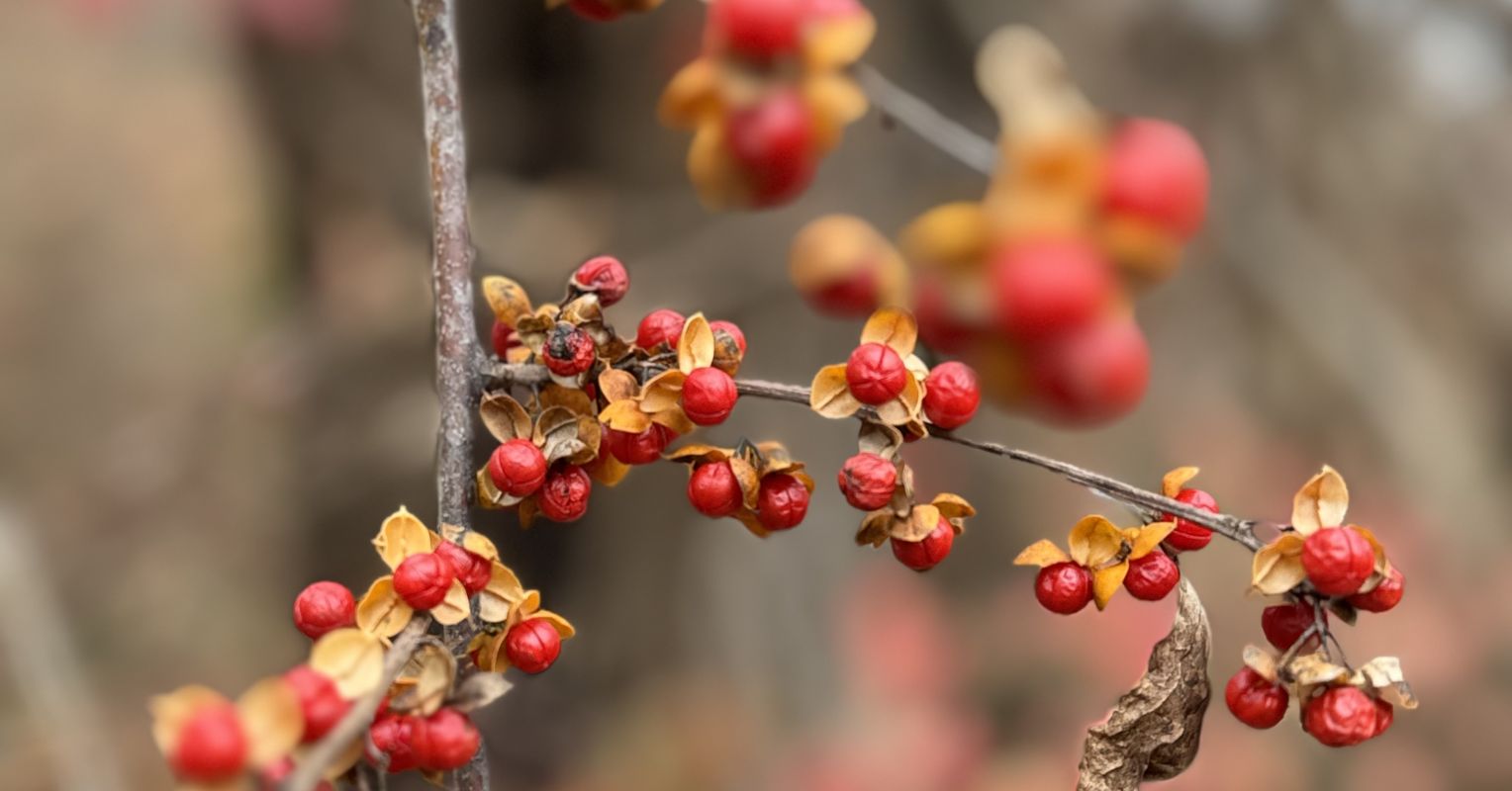 How a Life-Changing Diagnosis Helped Reveal My True Colors