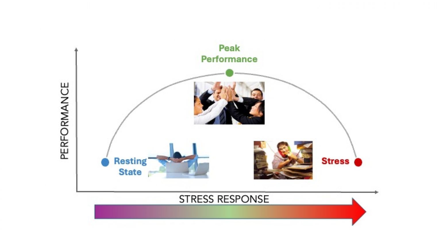 2 Ways to Get Back in the Zone After Holidays