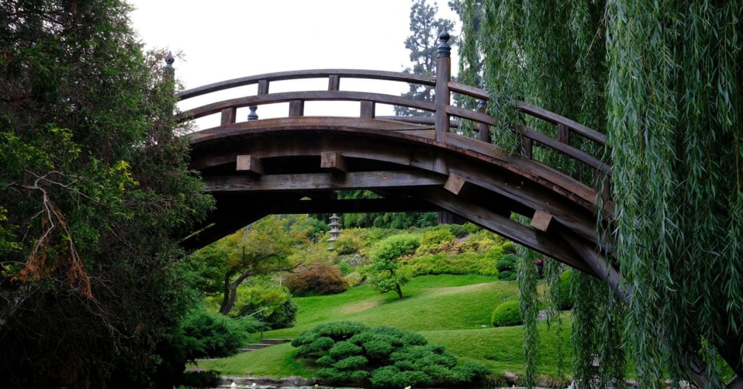 Publishing Untold Stories From the Worlds of the Subconscious