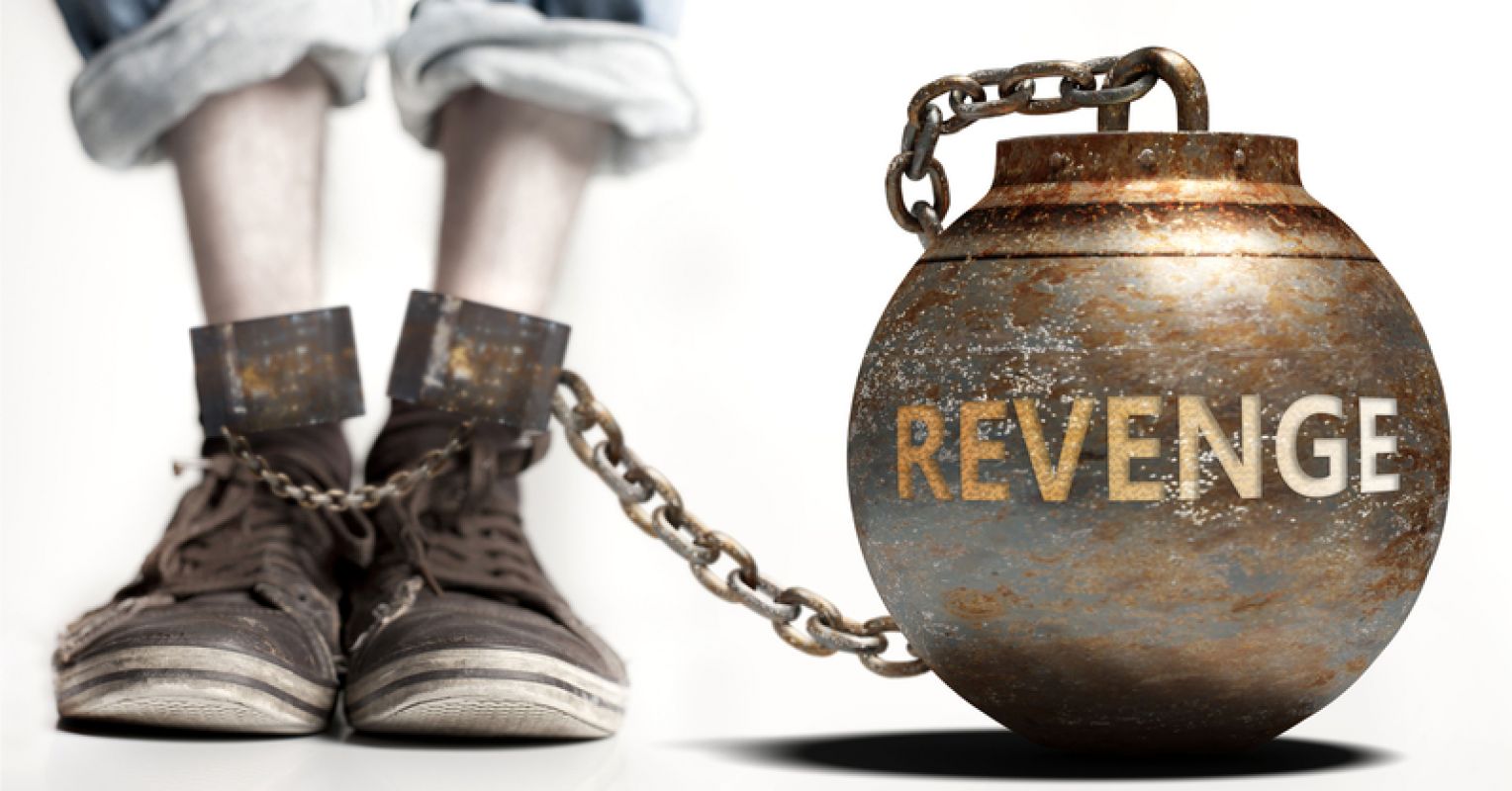 Why Success Is the Ultimate Revenge