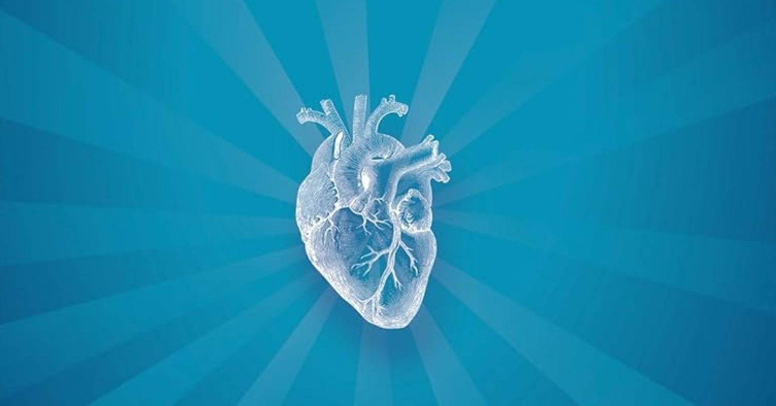 The Rational Myth: Why Great Leaders Lead From the Heart The Rational Myth: Why Great Leaders Lead From the Heart